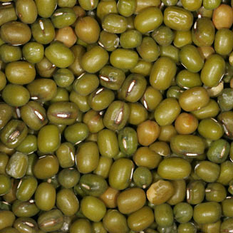 mung bean 